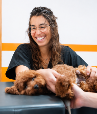 Veterinária feliz a cuidar de cão castanho